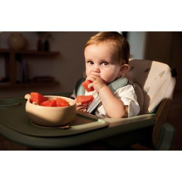 Scaun de masa multifunctional Jane Noah Mist, de la 6 luni la adult, din lemn fag, greutate maxima 100 kg